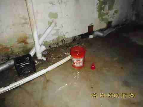 11824 Corbett (24)_m.jpg